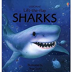 Sharks Lift-the-Flap