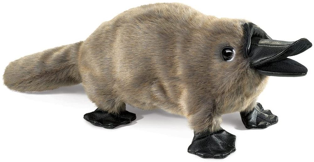 Baby Platypus Hand Puppet Thinker Toys Baby Platypus Hand Puppet Thinker Toys