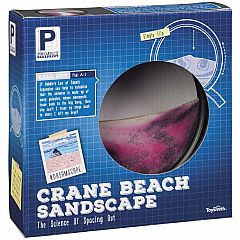 CRANE BEACH SANDSCAPE