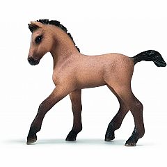 ANDALUSIAN FOAL