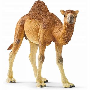 DROMEDARY SCHLEICH