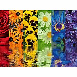 FLORAL REFLECTIONS 500PC PUZZLE