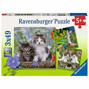 TIGER KITTENS 3X49PC PUZZLE