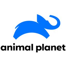 Animal Planet